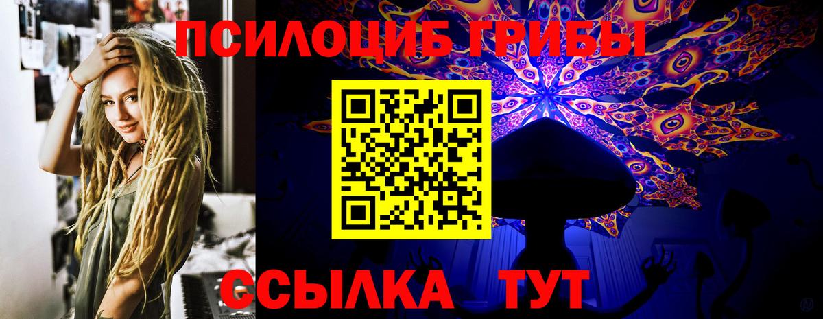 Воткинск  Псилоцибиновые грибы Psilocybine cubensis  Вход с VPN 