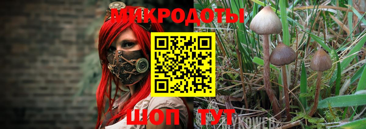 Псилоцибиновые грибы GOLDEN TEACHER Воткинск